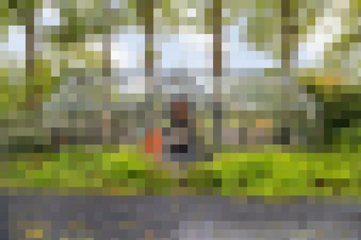 Hoog Soeren 105 Hoog Soeren thumbnail 61