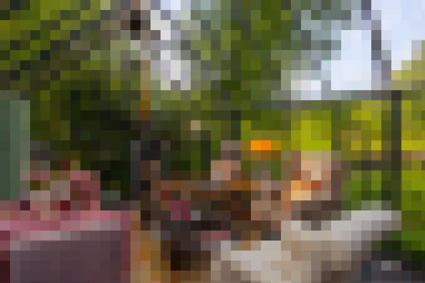 Hoog Soeren 105 Hoog Soeren thumbnail 62