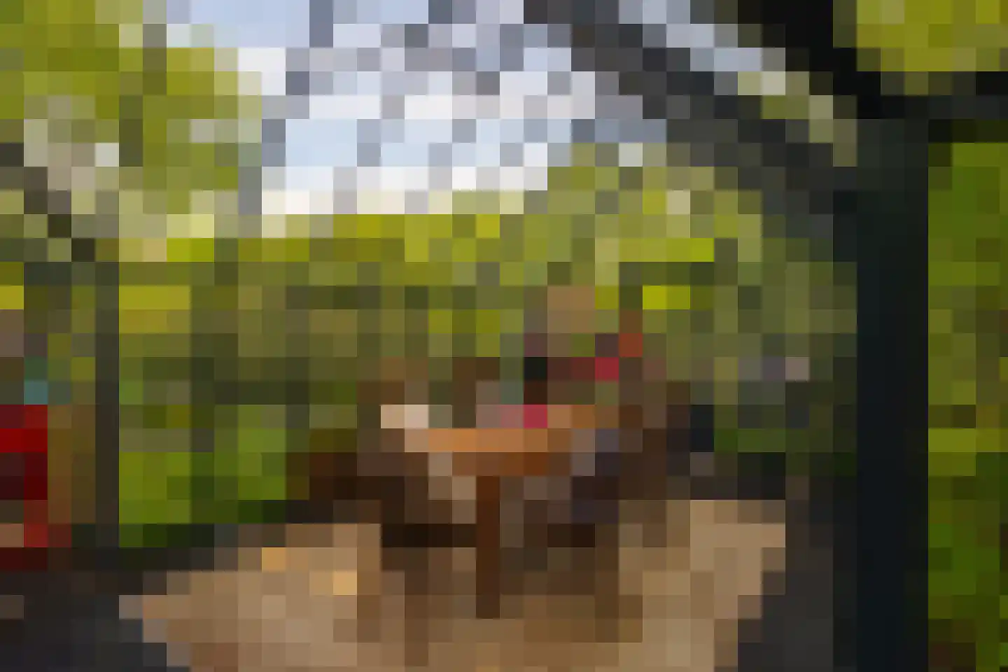Hoog Soeren 105 Hoog Soeren thumbnail 63