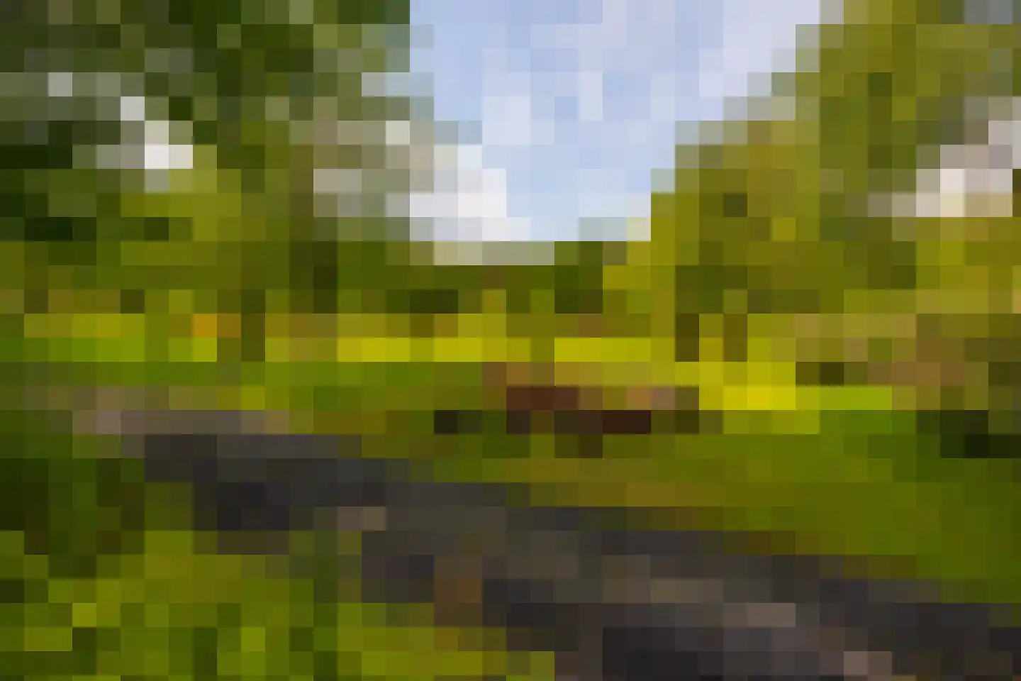 Hoog Soeren 105 Hoog Soeren thumbnail 64