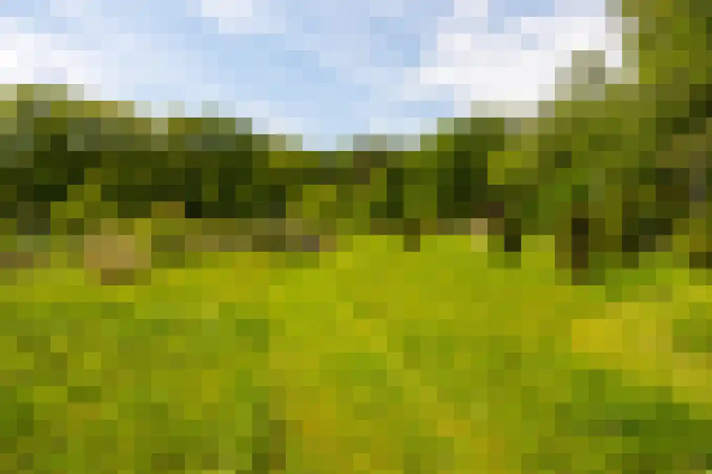 Hoog Soeren 105 Hoog Soeren thumbnail 65