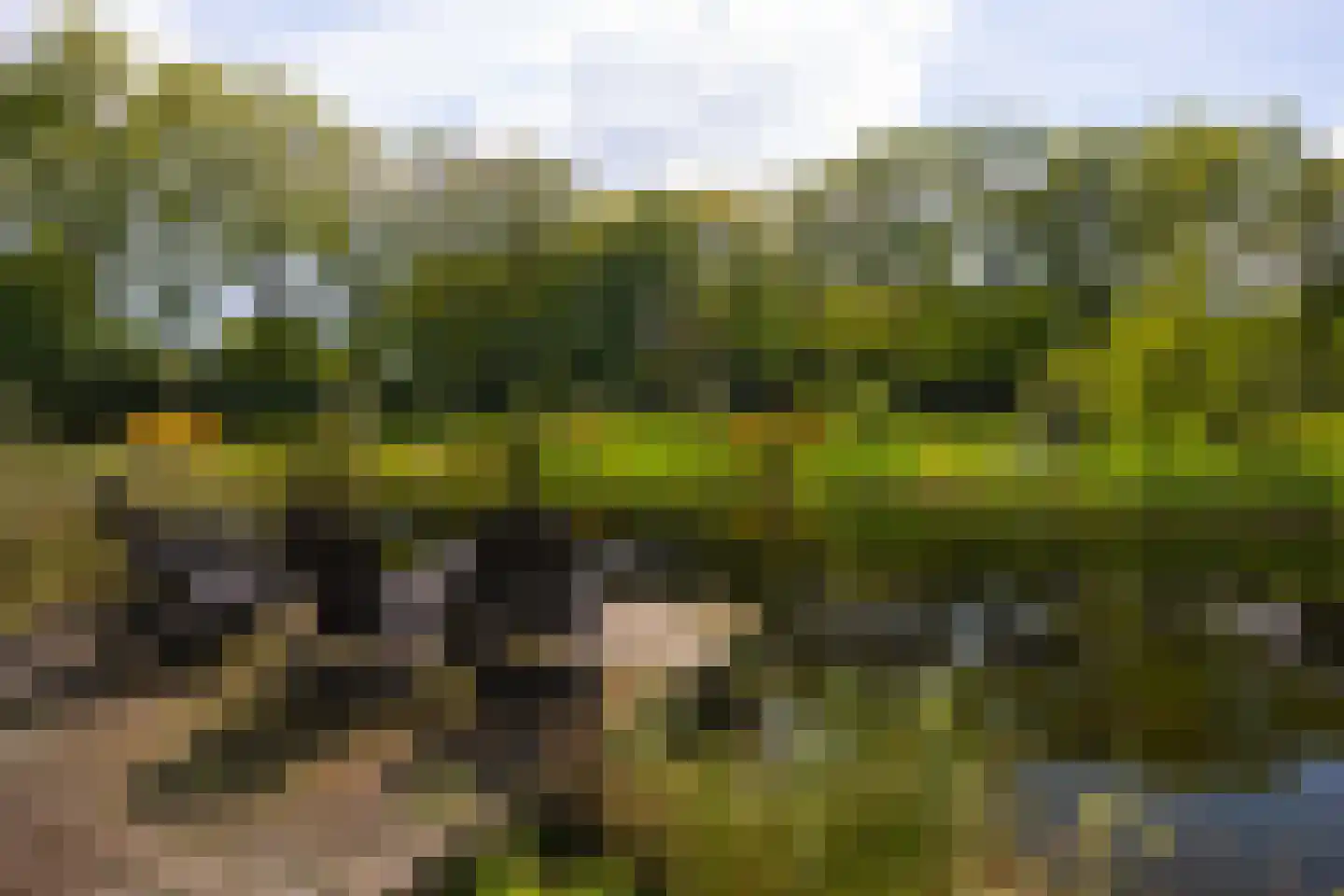 Hoog Soeren 105 Hoog Soeren thumbnail 66