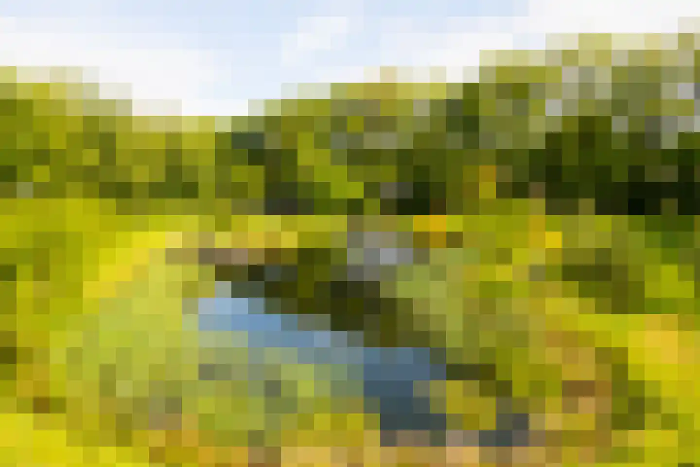 Hoog Soeren 105 Hoog Soeren thumbnail 67