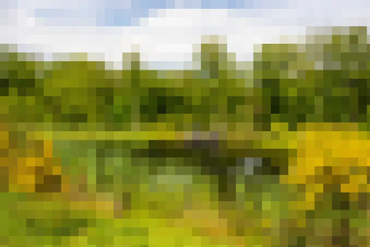 Hoog Soeren 105 Hoog Soeren thumbnail 68
