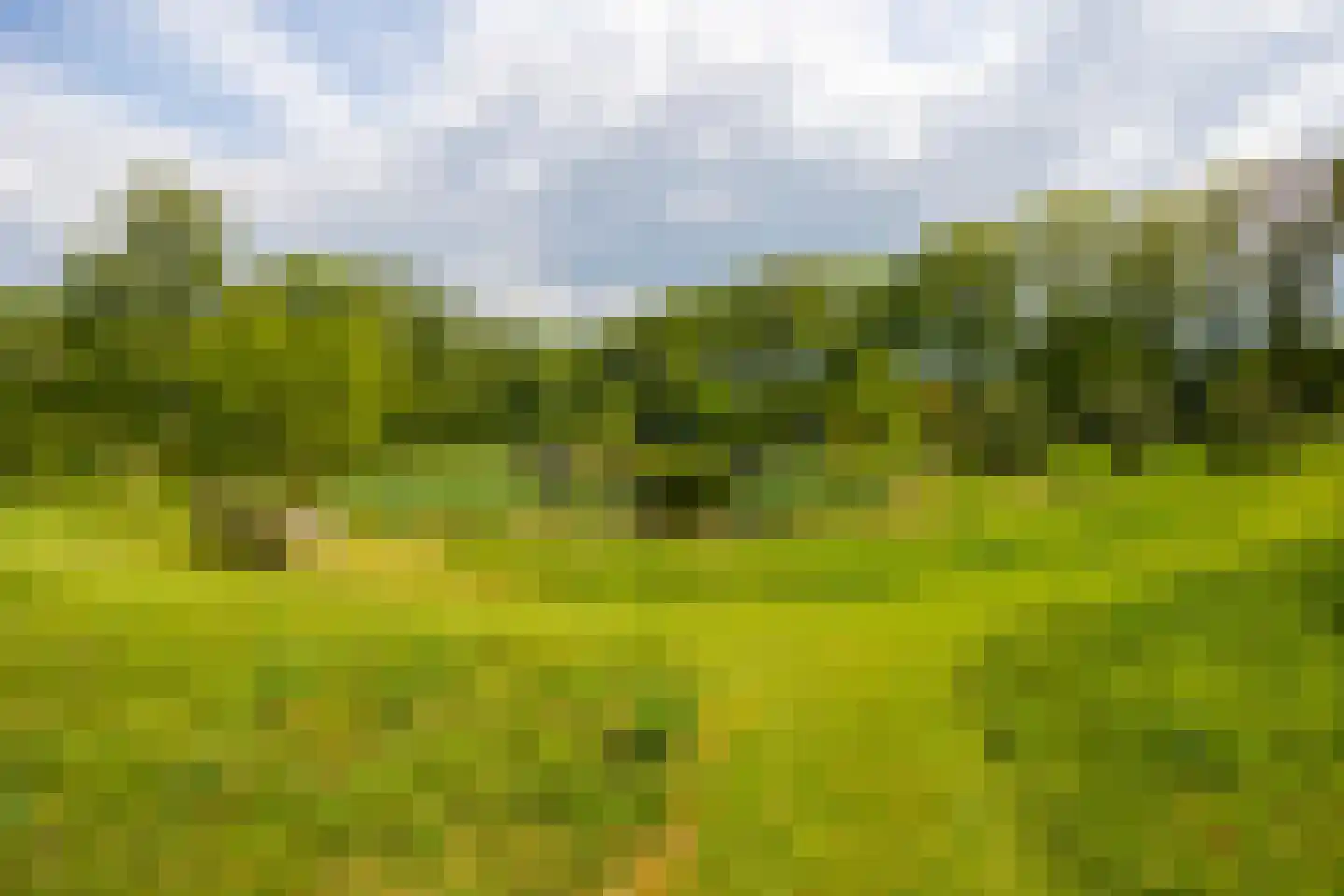 Hoog Soeren 105 Hoog Soeren thumbnail 70