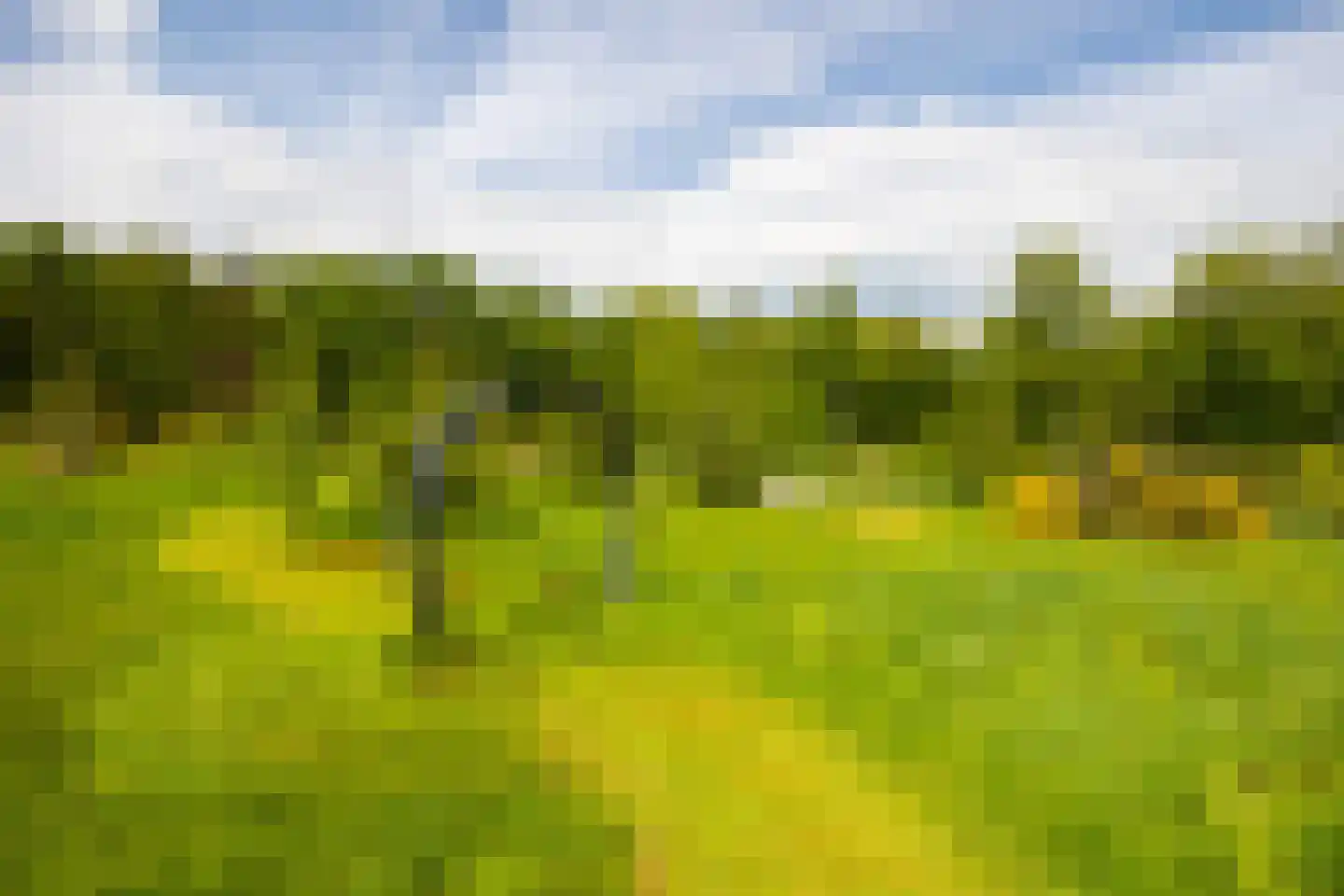 Hoog Soeren 105 Hoog Soeren thumbnail 71