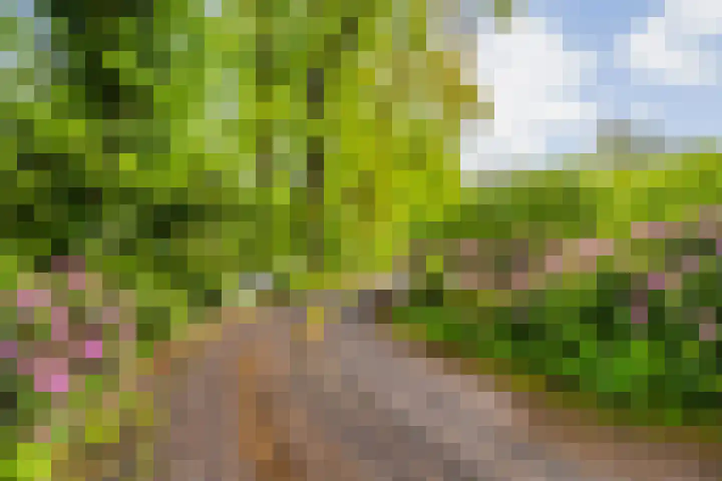 Hoog Soeren 105 Hoog Soeren thumbnail 73