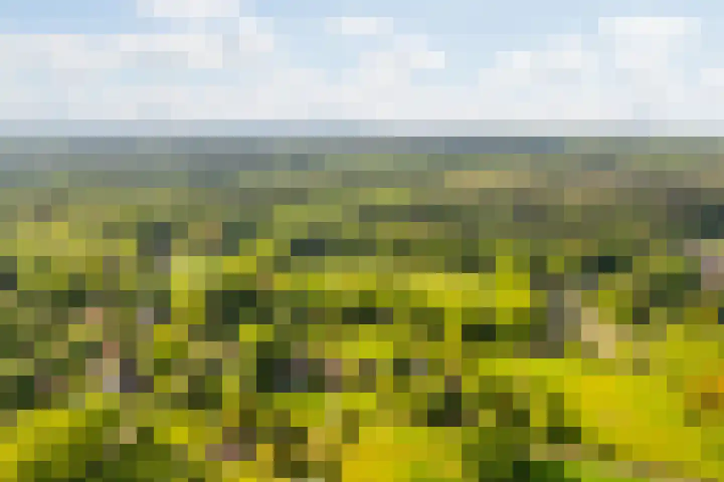 Hoog Soeren 105 Hoog Soeren thumbnail 75