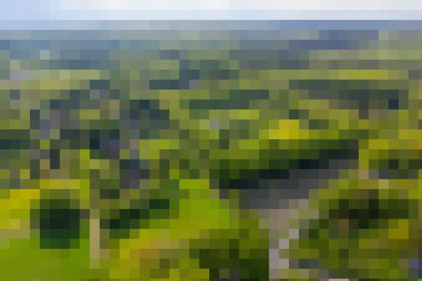 Hoog Soeren 105 Hoog Soeren thumbnail 76