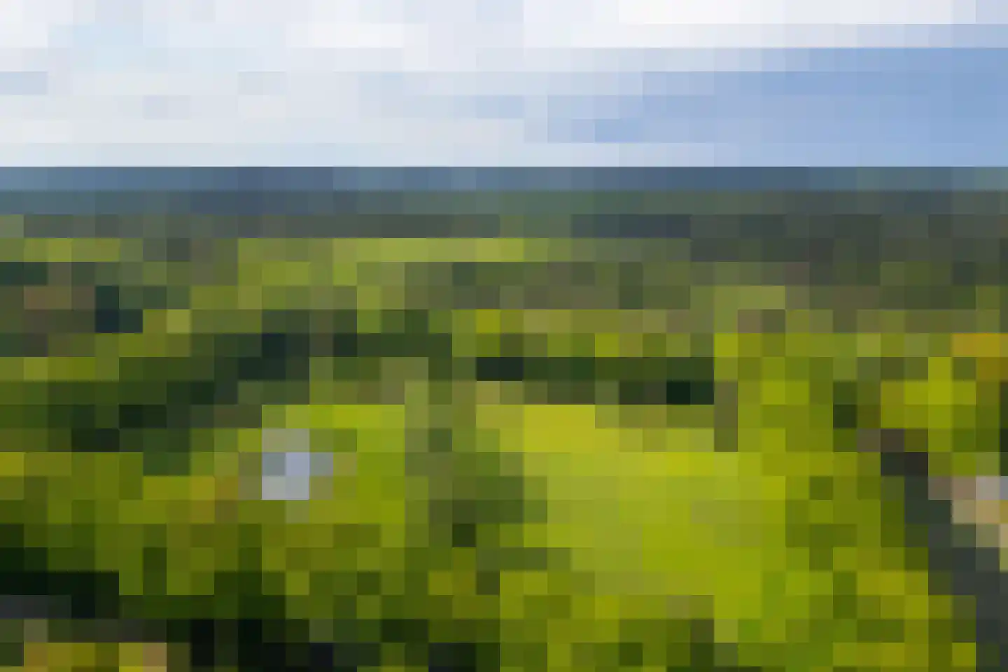 Hoog Soeren 105 Hoog Soeren thumbnail 77