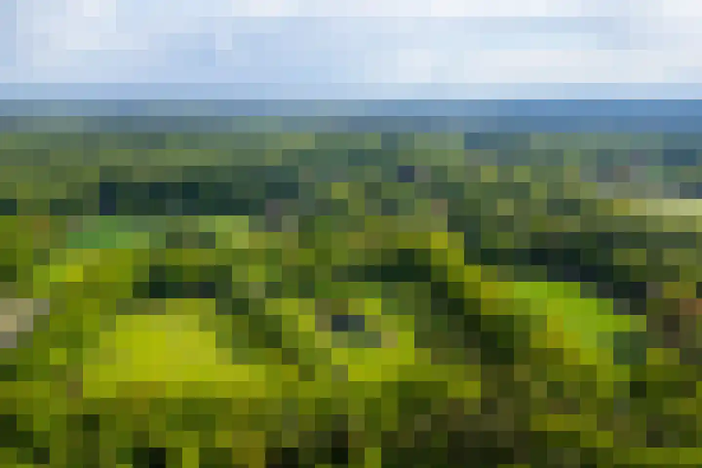 Hoog Soeren 105 Hoog Soeren thumbnail 78