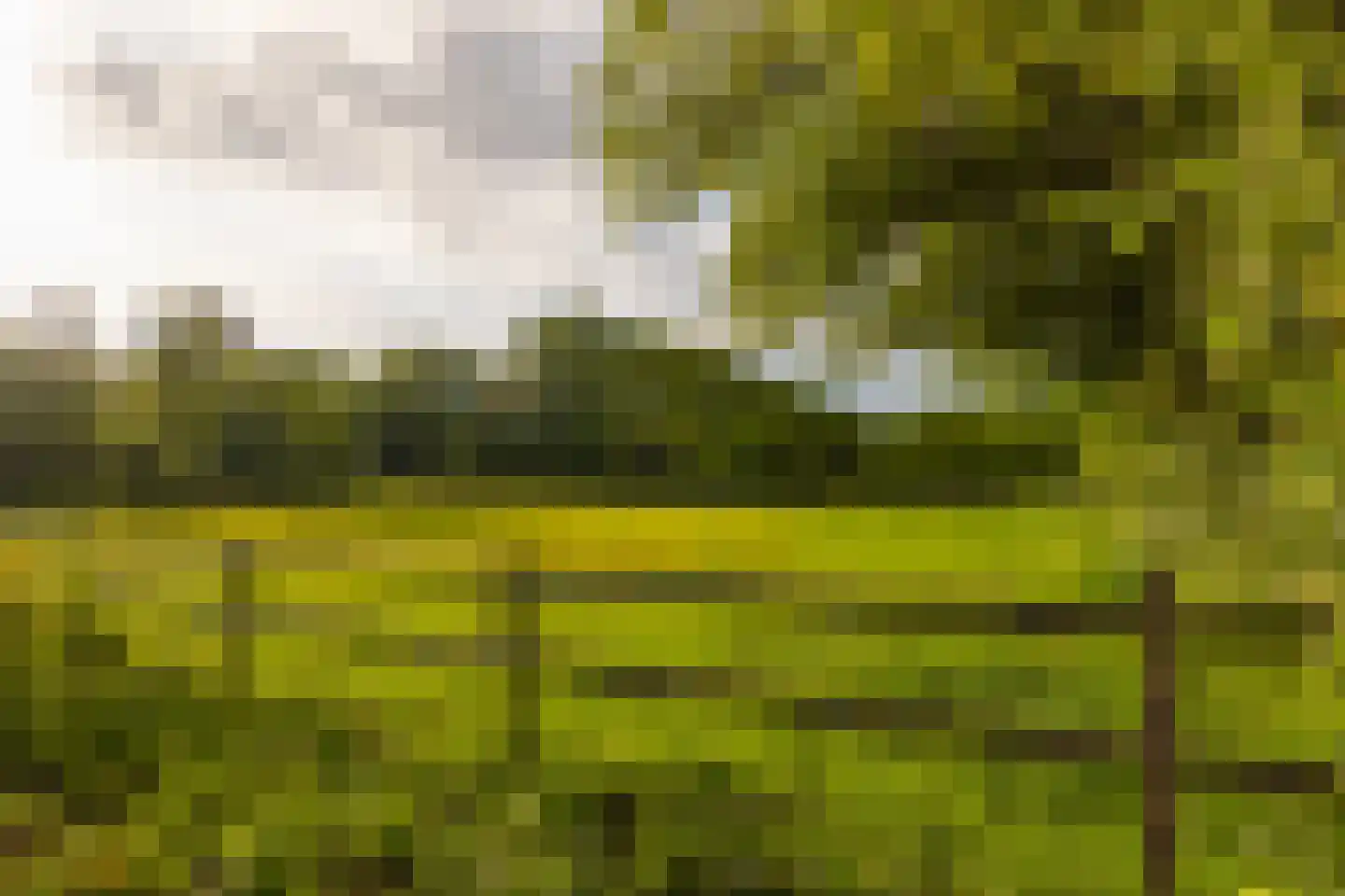 Hoog Soeren 105 Hoog Soeren thumbnail 79
