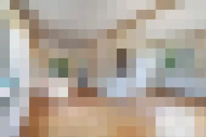Hoog Soeren 108 A Hoog Soeren thumbnail 10