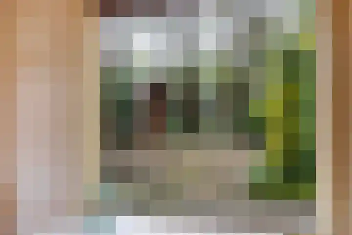 Hoog Soeren 108 A Hoog Soeren thumbnail 13