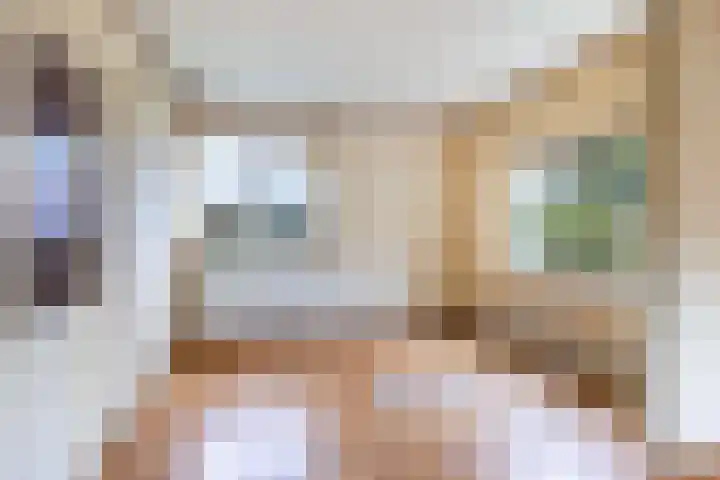 Hoog Soeren 108 A Hoog Soeren thumbnail 16
