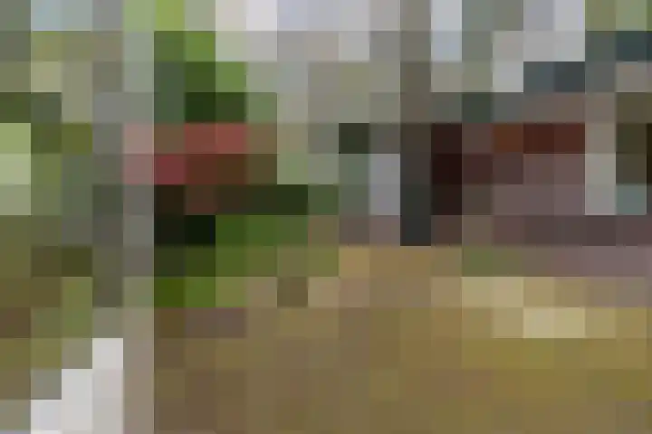 Hoog Soeren 108 A Hoog Soeren thumbnail 25