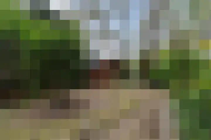 Hoog Soeren 108 A Hoog Soeren thumbnail 28