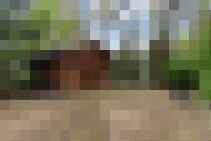Hoog Soeren 108 A Hoog Soeren thumbnail 29