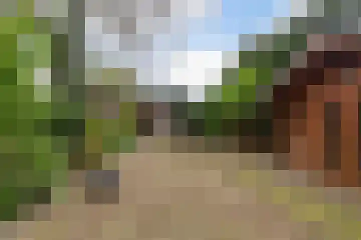 Hoog Soeren 108 A Hoog Soeren thumbnail 30