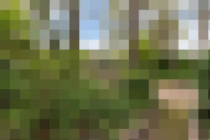 Hoog Soeren 108 A Hoog Soeren thumbnail 31