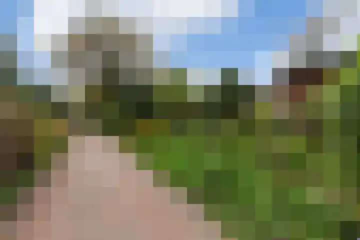 Hoog Soeren 108 A Hoog Soeren thumbnail 33