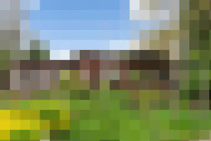 Hoog Soeren 108 A Hoog Soeren thumbnail 34