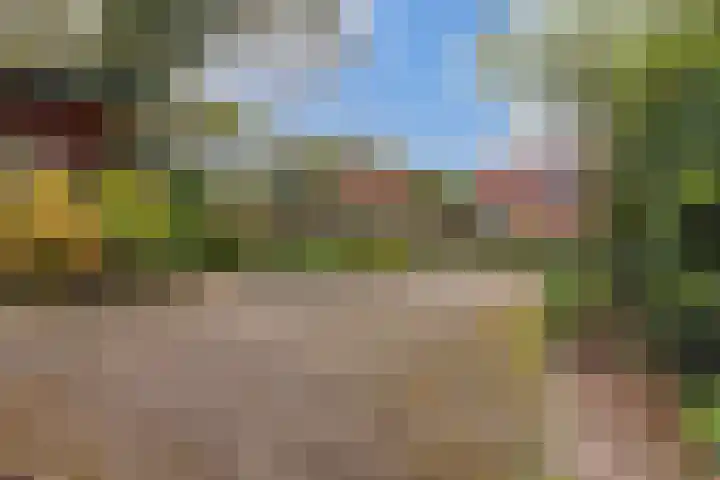 Hoog Soeren 108 A Hoog Soeren thumbnail 35
