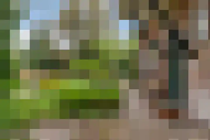 Hoog Soeren 108 A Hoog Soeren thumbnail 4