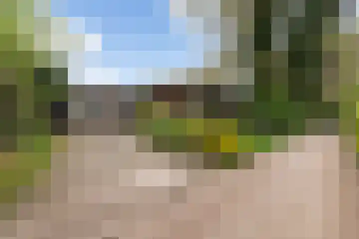 Hoog Soeren 108 A Hoog Soeren thumbnail 41