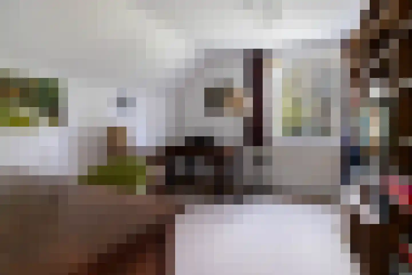 Hoog Soeren 110 Hoog Soeren thumbnail 27
