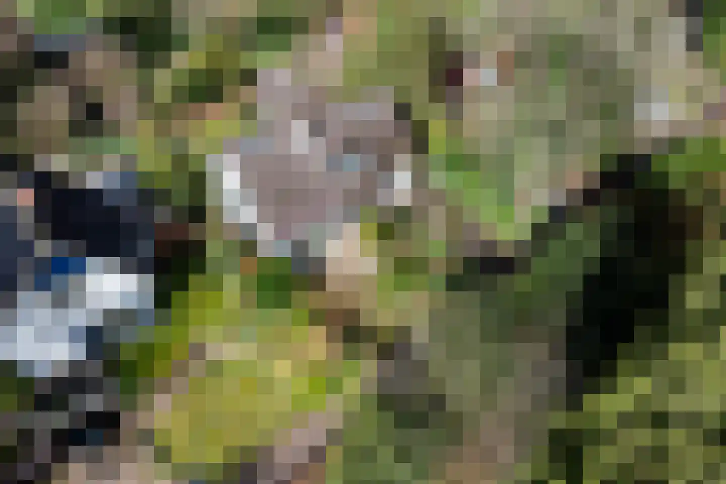 Hoog Soeren 110 Hoog Soeren thumbnail 31