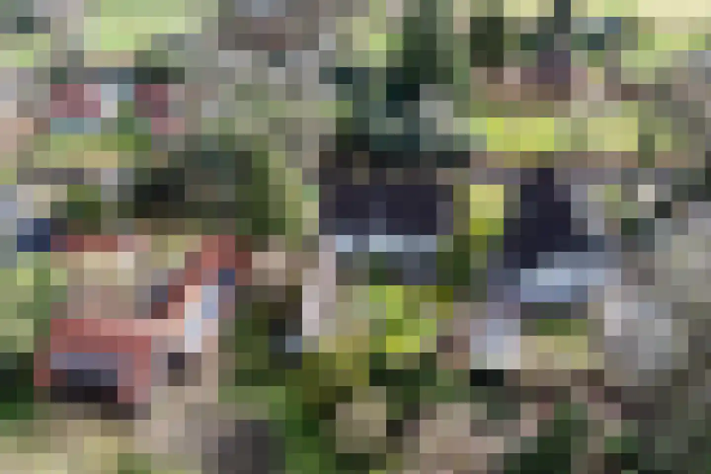 Hoog Soeren 110 Hoog Soeren thumbnail 35