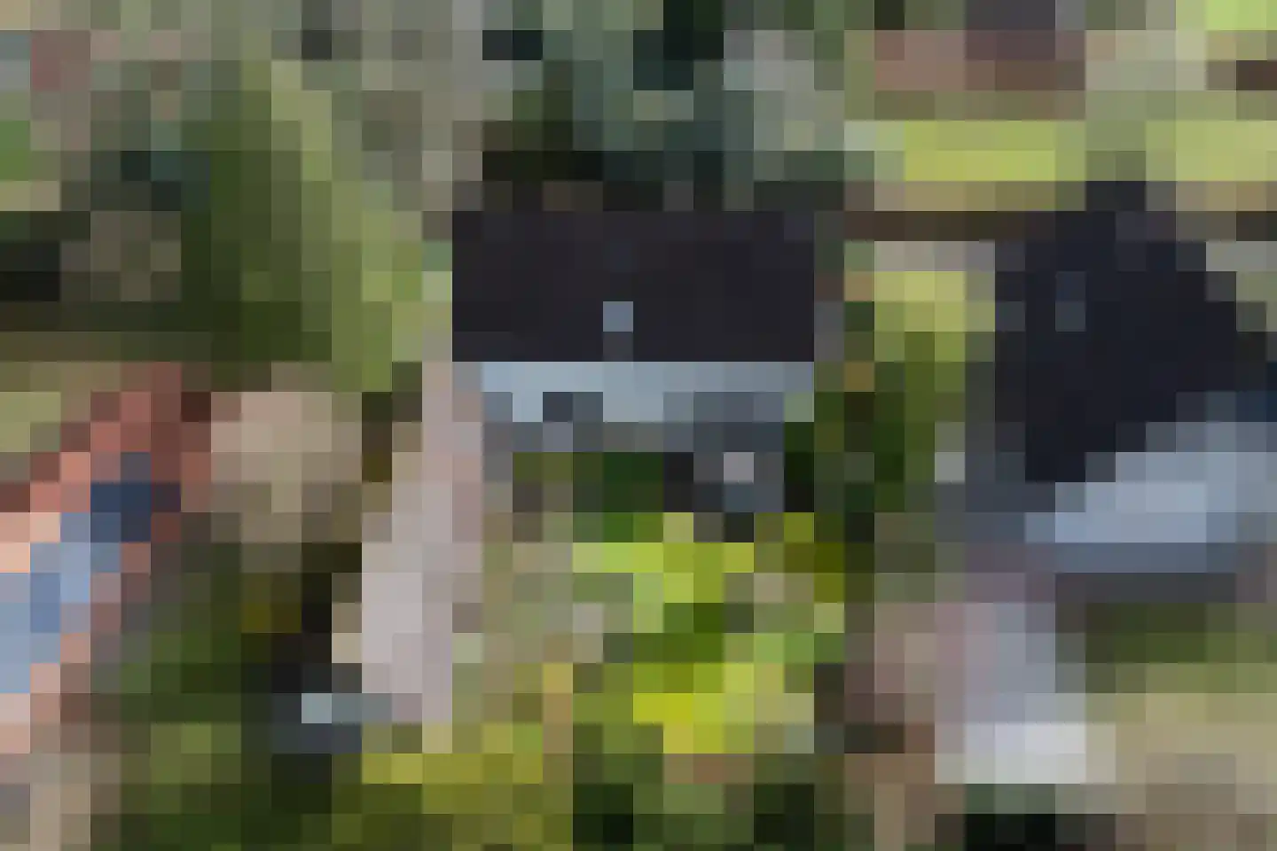 Hoog Soeren 110 Hoog Soeren thumbnail 36