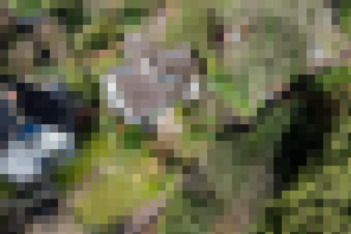 Hoog Soeren 110 Hoog Soeren thumbnail 37