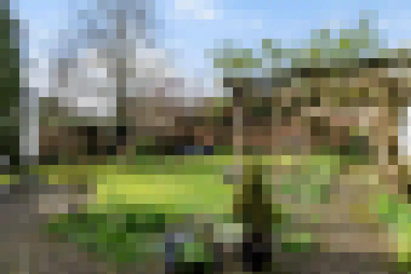 Hoog Soeren 110 Hoog Soeren thumbnail 4