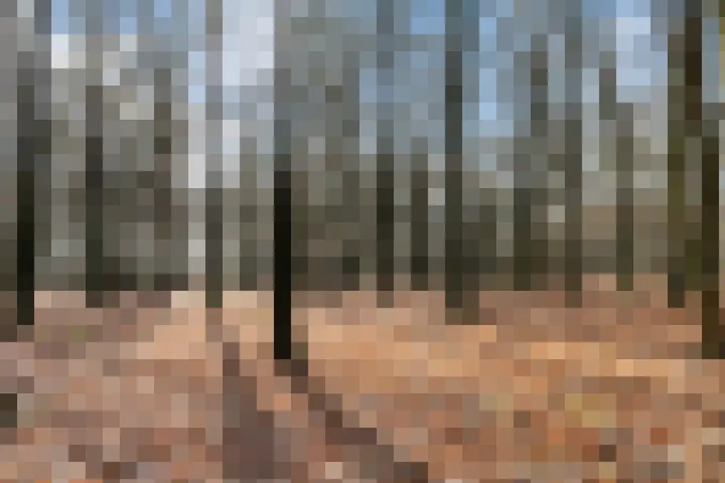 Hoog Soeren 110 Hoog Soeren thumbnail 40