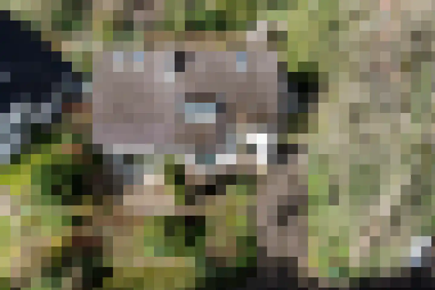Hoog Soeren 110 Hoog Soeren thumbnail 7