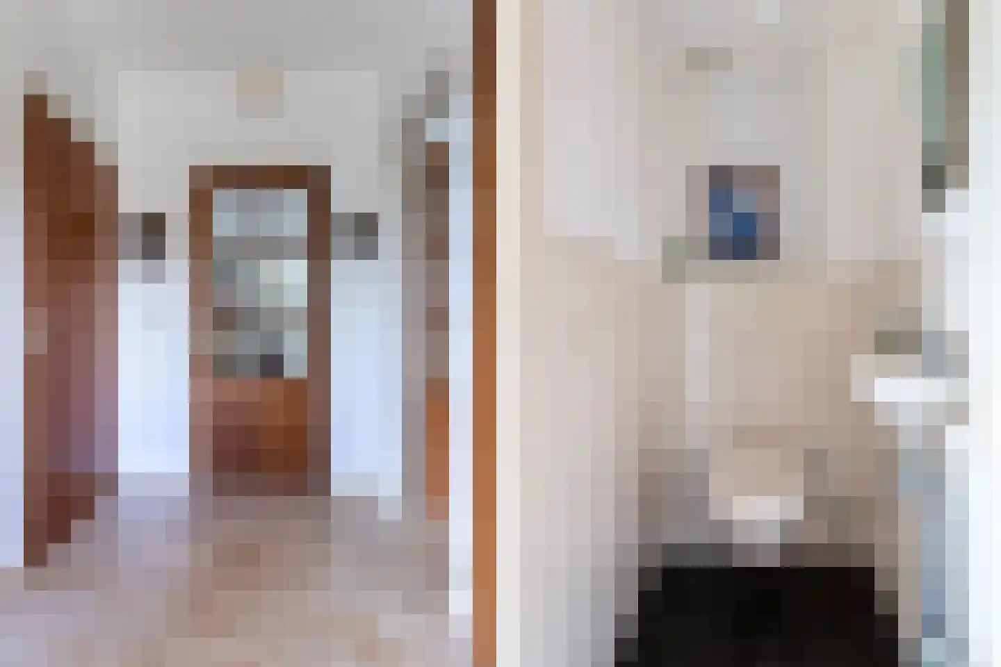 Hoog Soeren 110 Hoog Soeren thumbnail 9