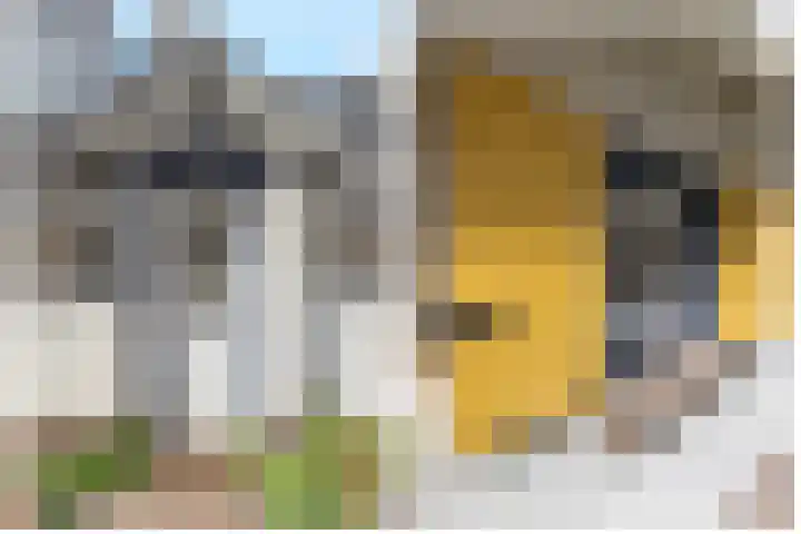Hoog Soeren 46 Hoog Soeren thumbnail 10