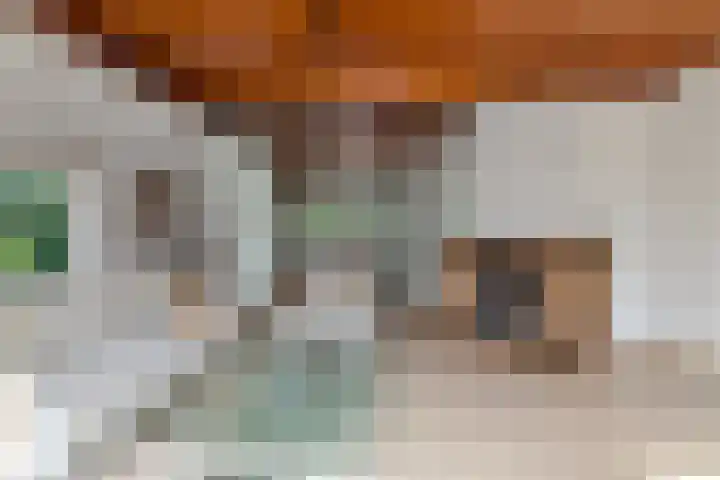 Hoog Soeren 46 Hoog Soeren thumbnail 17