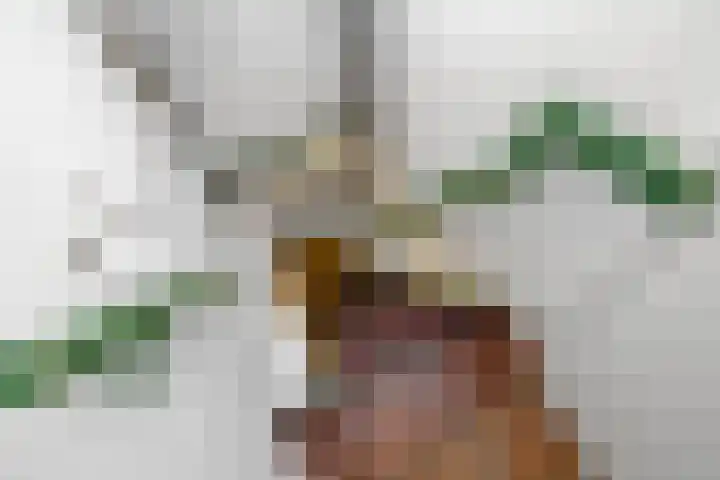 Hoog Soeren 46 Hoog Soeren thumbnail 27