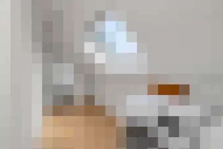 Hoog Soeren 46 Hoog Soeren thumbnail 29