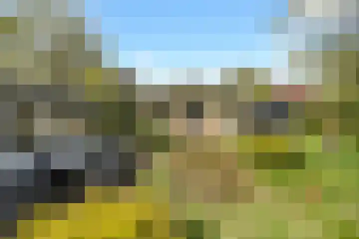 Hoog Soeren 46 Hoog Soeren thumbnail 42