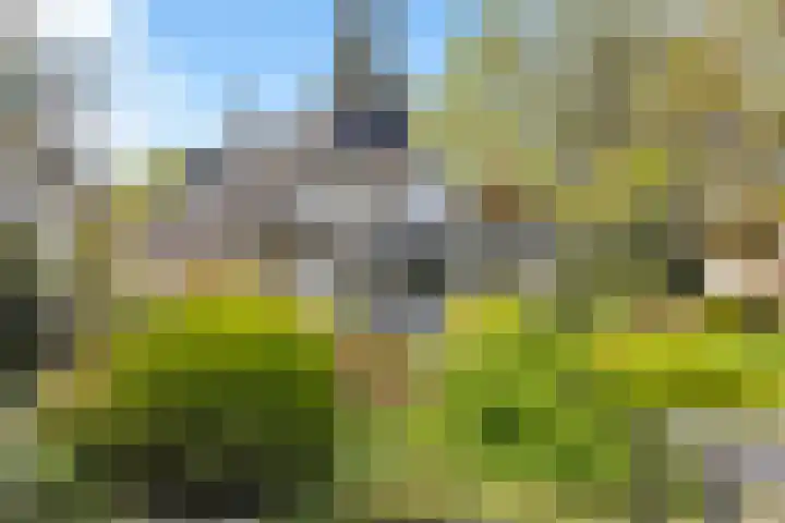 Hoog Soeren 46 Hoog Soeren thumbnail 44