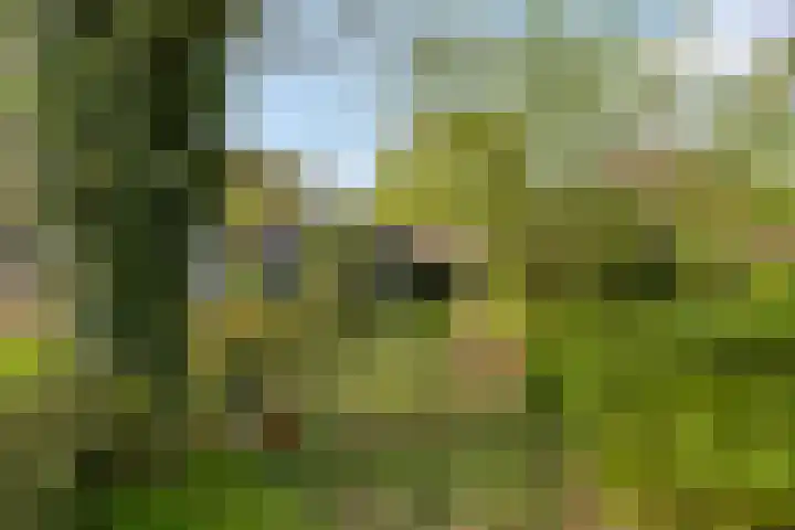 Hoog Soeren 46 Hoog Soeren thumbnail 45