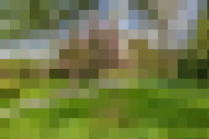 Hoog Soeren 46 Hoog Soeren thumbnail 46