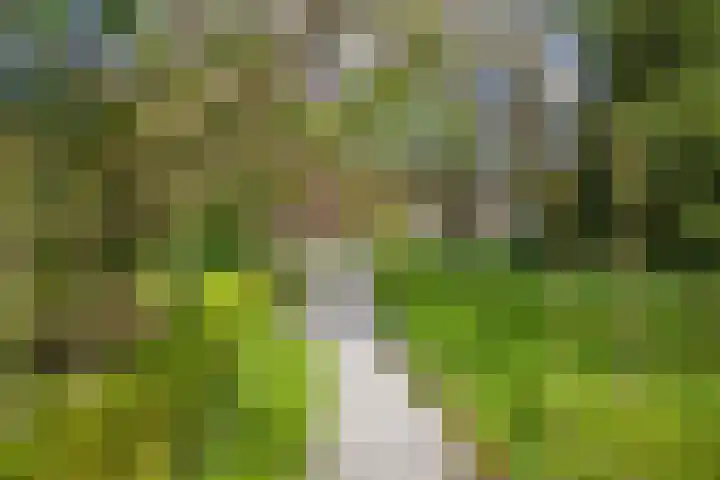 Hoog Soeren 46 Hoog Soeren thumbnail 47