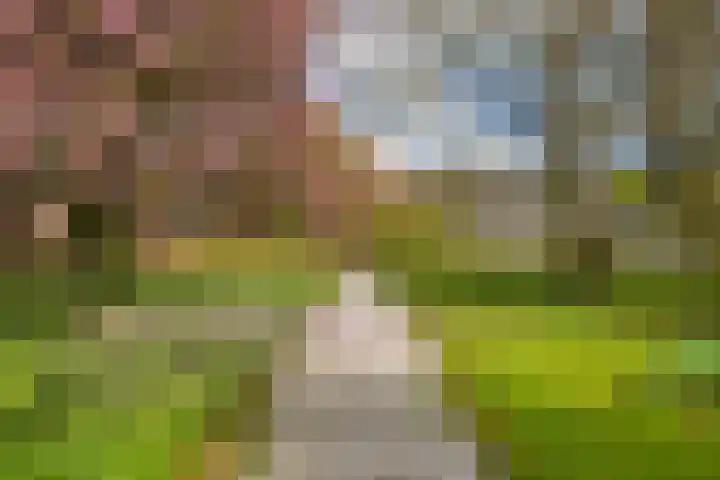 Hoog Soeren 46 Hoog Soeren thumbnail 48