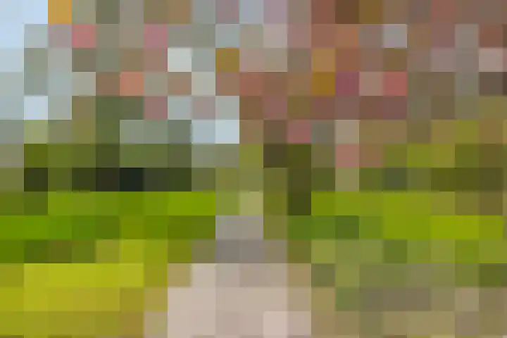 Hoog Soeren 46 Hoog Soeren thumbnail 49