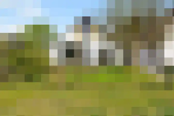Hoog Soeren 46 Hoog Soeren thumbnail 5
